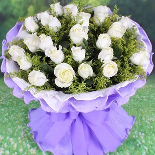 19֧õ壬ݺ+Ҷ䡣
